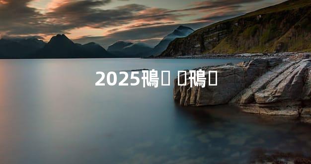 2025鳵۸ ֻ鳵۸